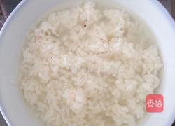 酒酿的做法图解8