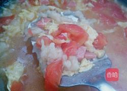西红柿疙瘩汤的做法图解12