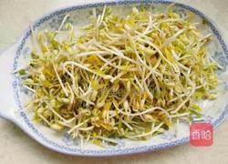 自发绿豆芽的做法图解7