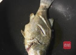 红烧鲈鱼的做法图解5