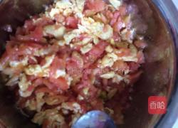 西红柿鸡蛋饺子的做法图解6