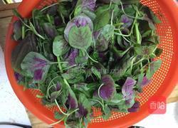 炒苋菜的做法图解1