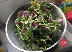 炒苋菜的做法图解4