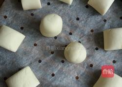 一次性发酵馒头的做法图解6