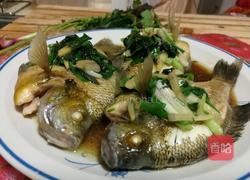 紫苏蒸太阳鱼的做法图解5