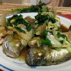 紫苏蒸太阳鱼的做法[图]