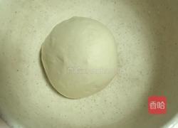 田园披萨的做法图解4