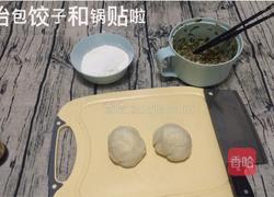 香葱猪肉水饺/锅贴的做法图解11