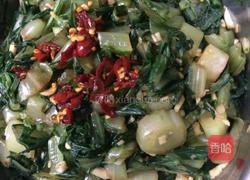 拌苦麦菜的做法图解6