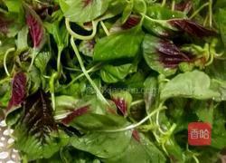 姜片苋菜的做法图解1