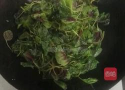 姜片苋菜的做法图解3