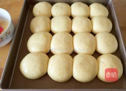 卡仕达香橙小餐包的做法图解17