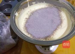 煤球小蛋糕的做法图解5