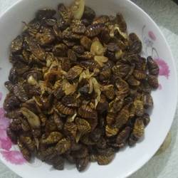 蚕蛹的做法[图]