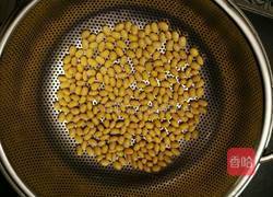 自发黄豆芽的做法图解5