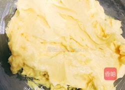 玩色凤梨酥-纯凤梨+蜂蜜版的做法图解12