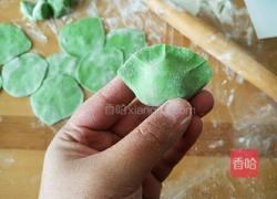 宝宝三色饺子的做法图解29