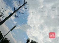 凉面的做法图解16