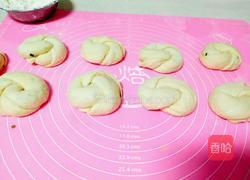 清新葱花卷的做法图解15