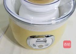 自制特浓酸奶的做法图解4