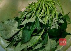 蒜蓉红薯叶的做法图解1