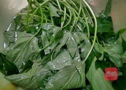 蒜蓉红薯叶的做法图解2