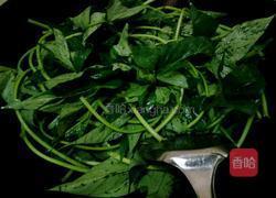 蒜蓉红薯叶的做法图解5