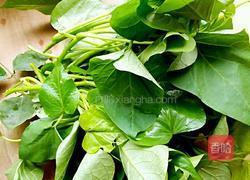 清炒红薯叶的做法图解1