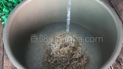 糙米饭的做法图解5
