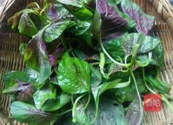 素炒苋菜的做法图解1