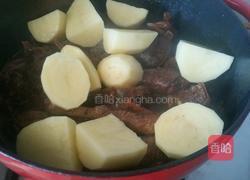 大鹅炖土豆的做法图解8