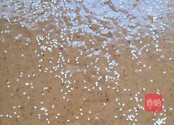 枣糕的做法图解7