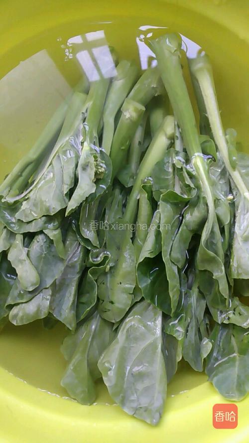 芥兰炒牛肉的做法_菜谱_香哈网