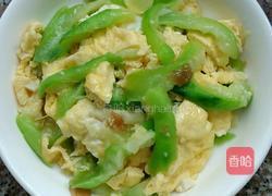 鸡蛋炒丝瓜的做法图解8