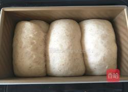 全麦奶香吐司的做法图解14