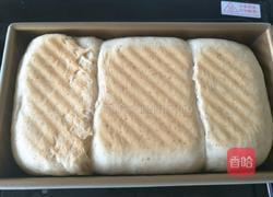 全麦奶香吐司的做法图解16