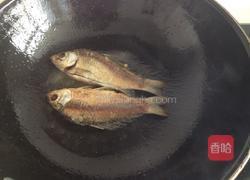 双菇鲫鱼汤的做法图解6