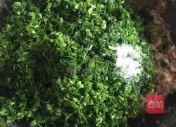 猪肉茴香馅儿饺子的做法图解9