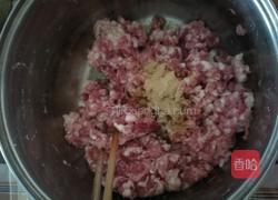 猪肉四季豆饺子的做法图解3