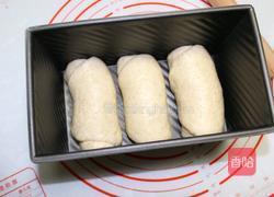 全麦吐司的做法图解8