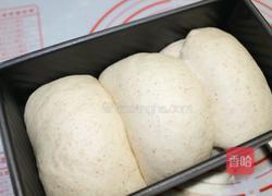 全麦吐司的做法图解9