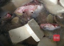 鱼头豆腐的做法图解4