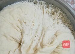 红薯豆沙包的做法图解11