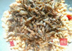 小鱼炖豆芽的做法图解10