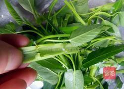 素炒空心菜的做法图解2