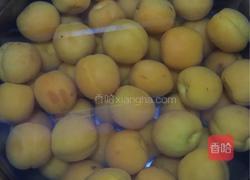 自制杏脯的做法图解1