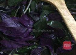 豆酱紫背天葵的做法图解4