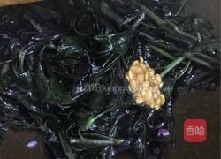 豆酱紫背天葵的做法图解6