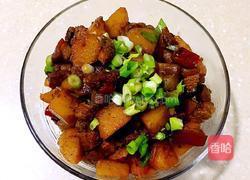 鸡猪肉炖土豆的做法图解9