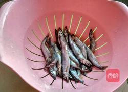 香煎多春鱼的做法图解1